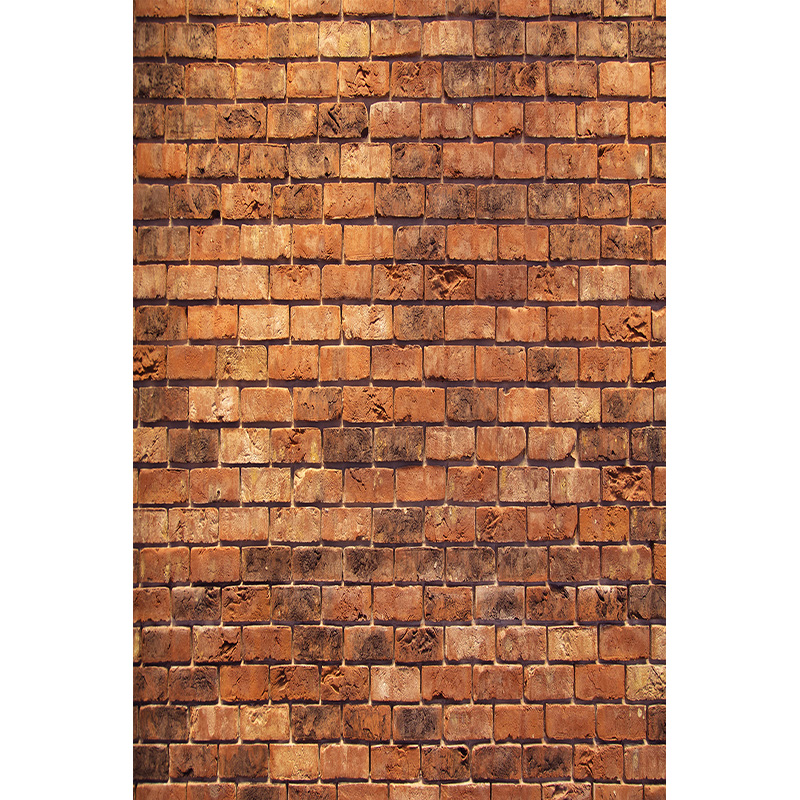 Vintage Brick Wall Grungy Phot - огляд і ціна Baby Products Photos