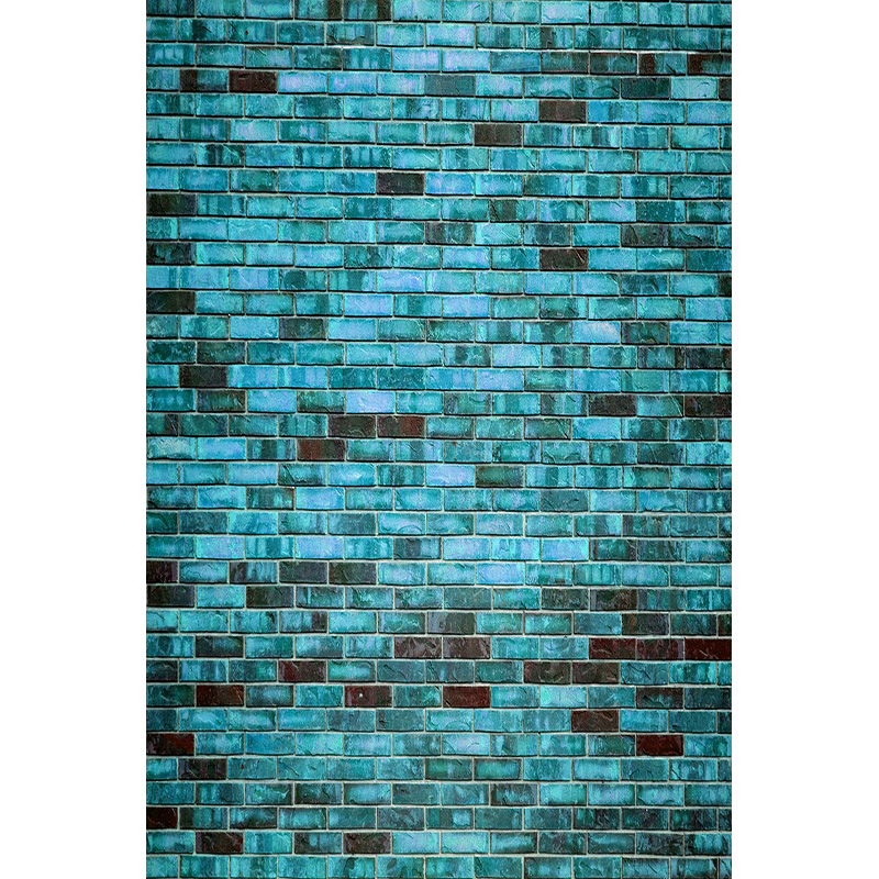 Vintage Brick Wall Grungy Phot - огляд і ціна Baby Products Photos