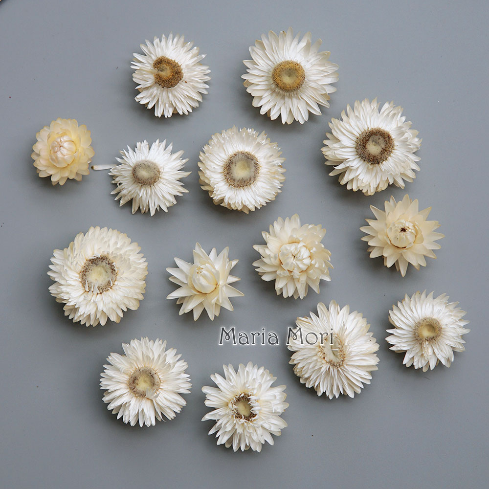 Natural Dried Colorful Chrysan - огляд і ціна Baby Products 1 Year