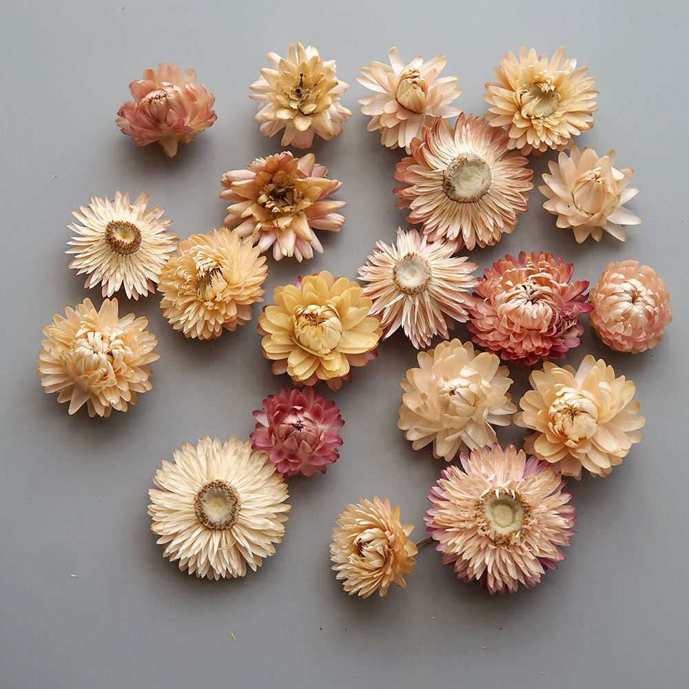 Natural Dried Colorful Chrysan - огляд і ціна Baby Products 1 Year